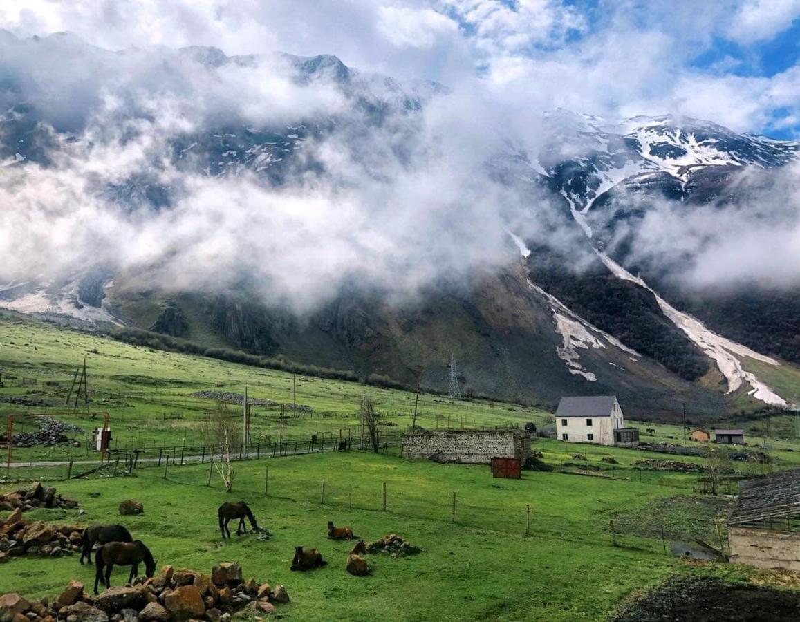 Arte In Kazbegi Hotel Exterior photo